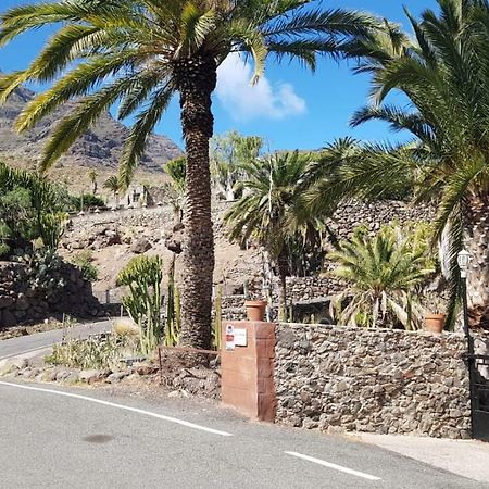 Villa De Cactualdea San Nicolás Exteriör bild