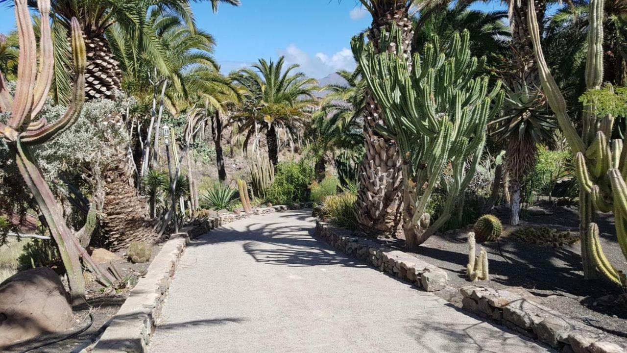 Villa De Cactualdea San Nicolás Exteriör bild